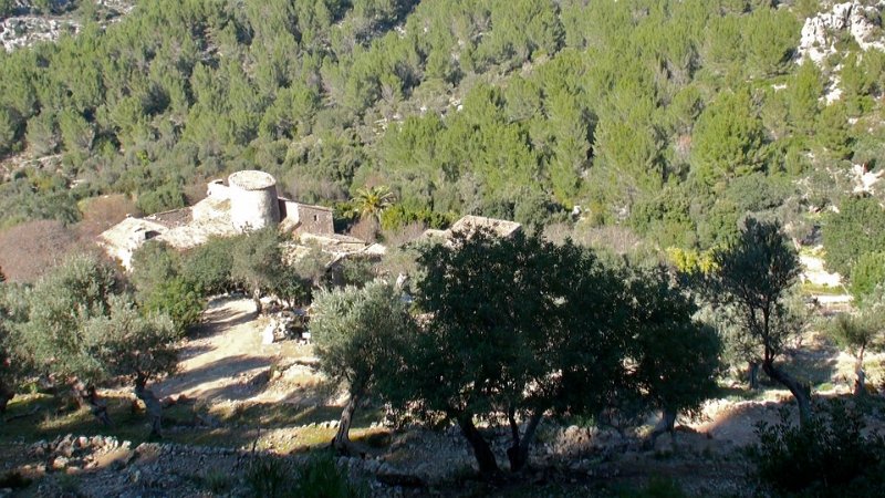 Still 110.jpg - Balitx d'Avall